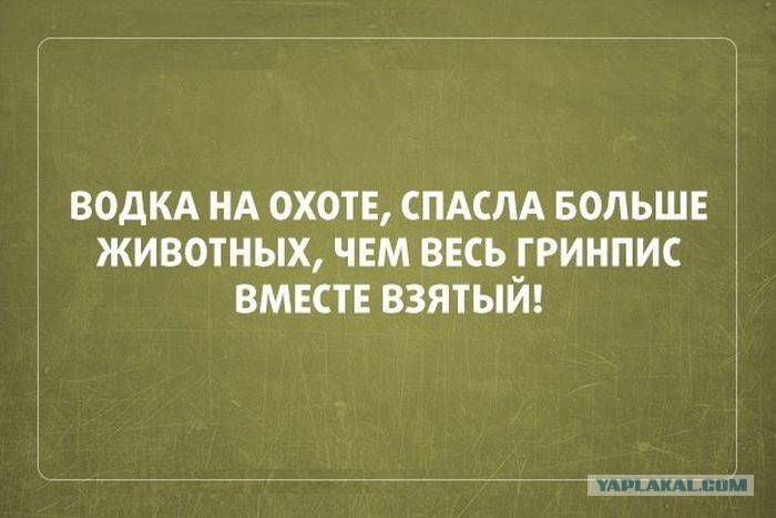 4087740.jpg