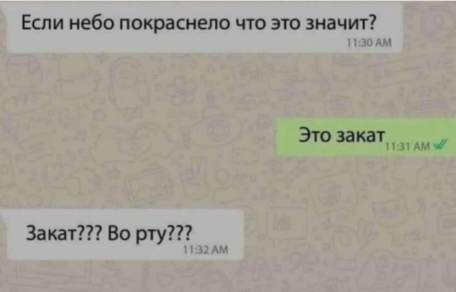 16317342.jpg