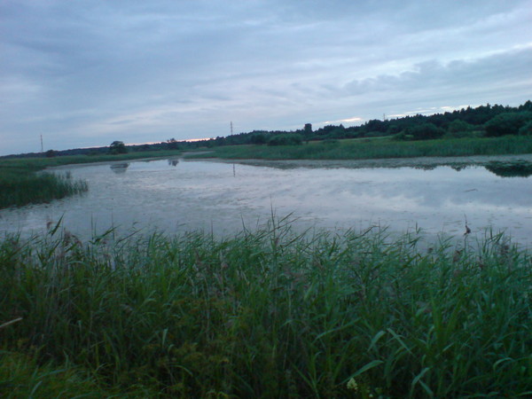i-272.jpg