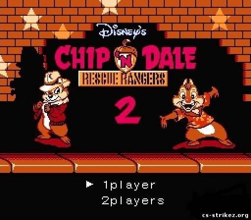 4331765.jpg
