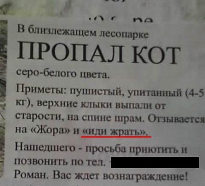 podborka_43.jpg