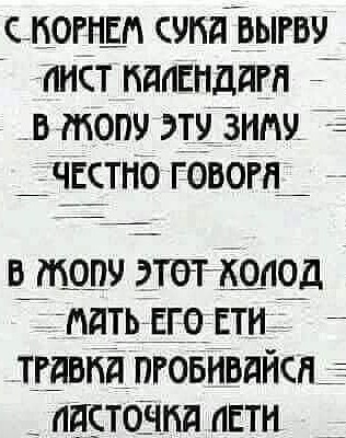15287697.jpg
