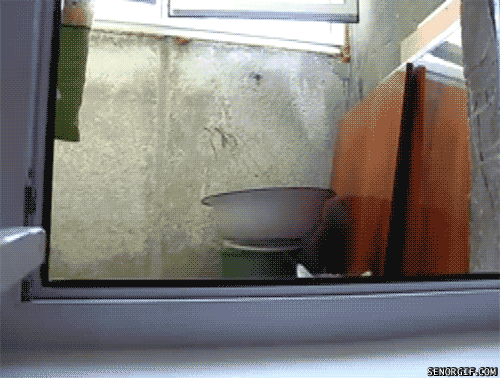 feb2013-4.gif