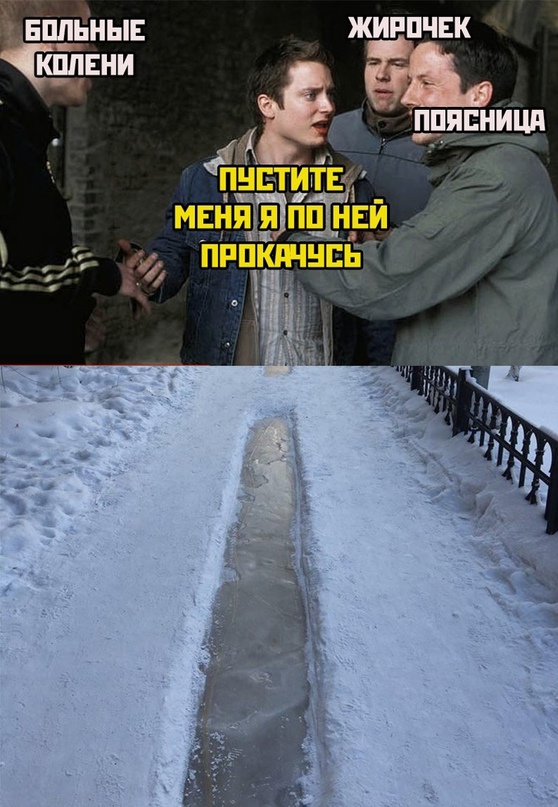 16258798.jpg