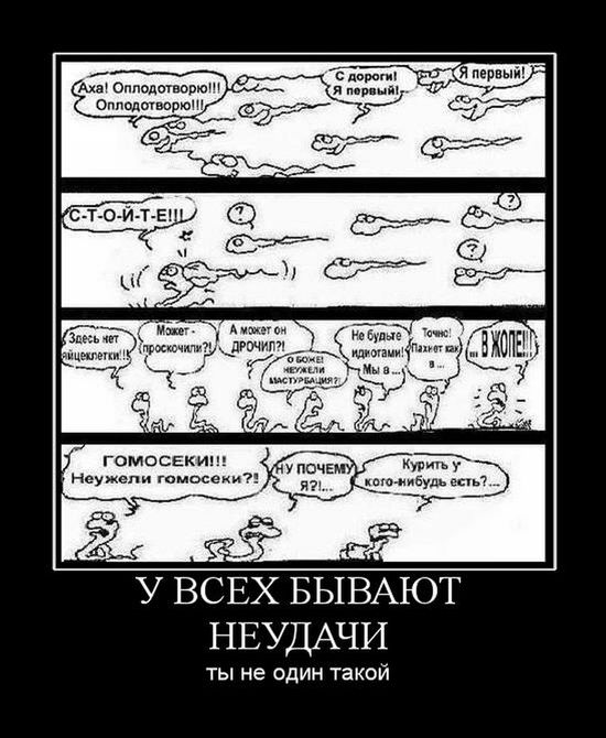 demotivatori_92.jpg
