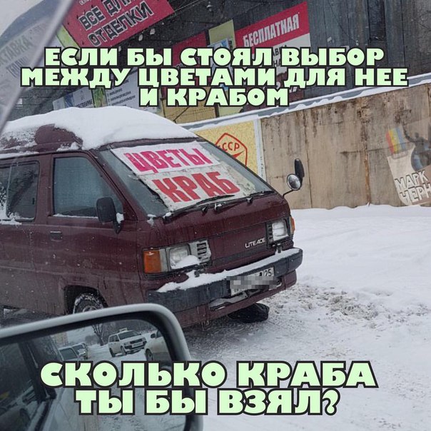 aksJ95rQpgE.jpg