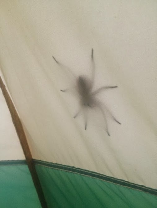 2395790.jpg