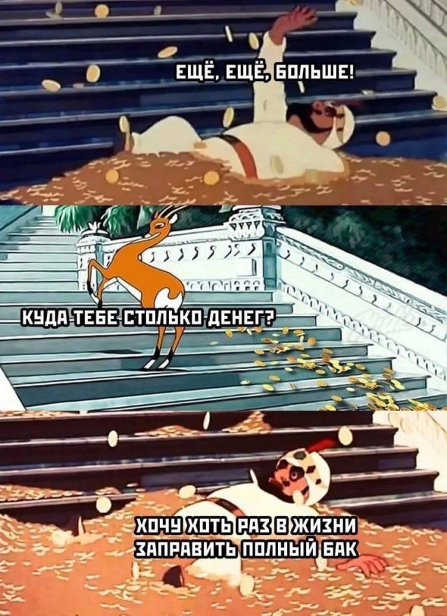 15725339.jpg