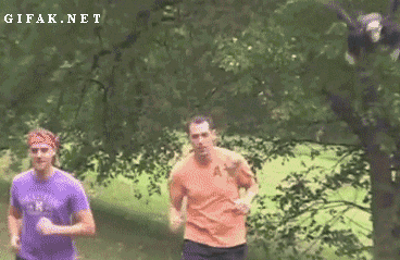 2.gif