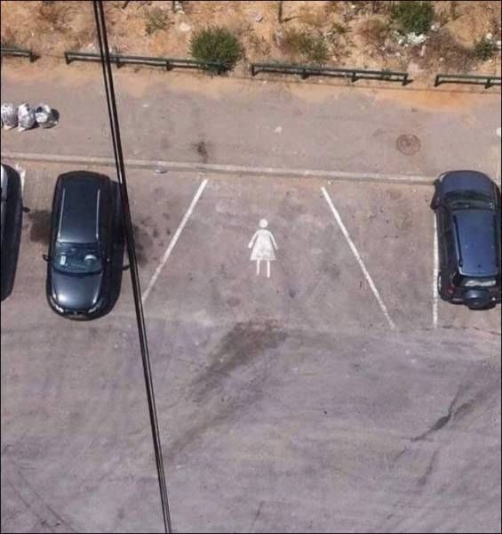 10377695.jpg