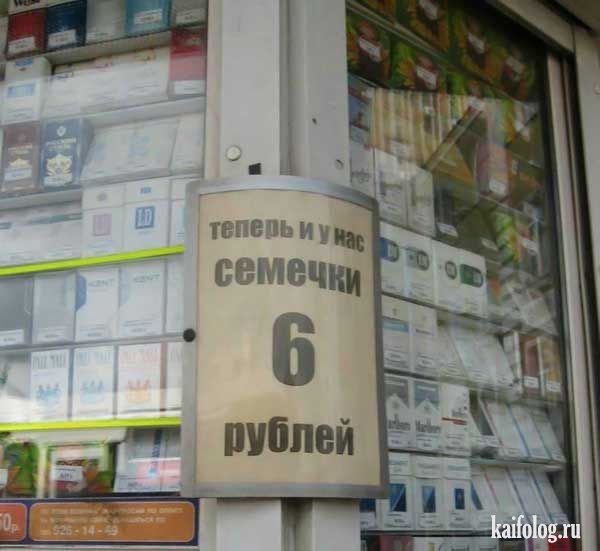 1244091738_004.jpg