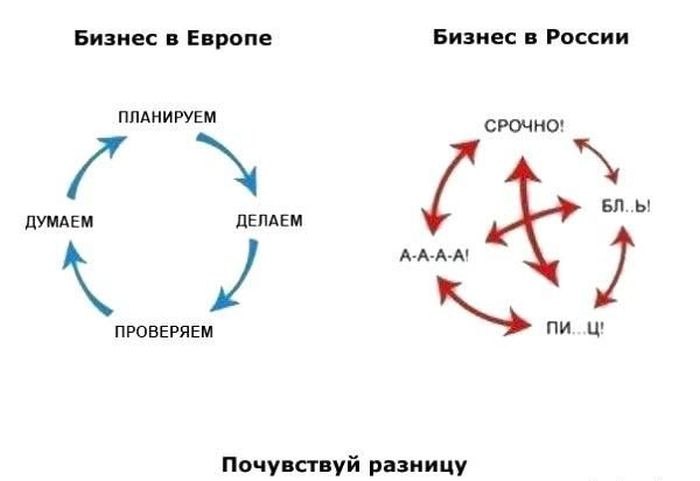 y_beebb976.jpg