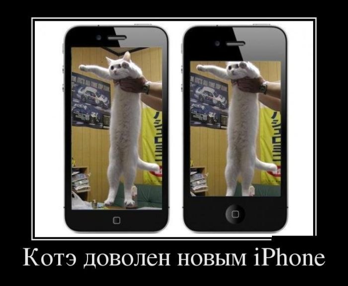 pEDl7HeDO94.jpg