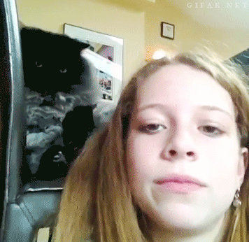 tumblr_mymwy4Gdbm1s2yegdo1_400.gif