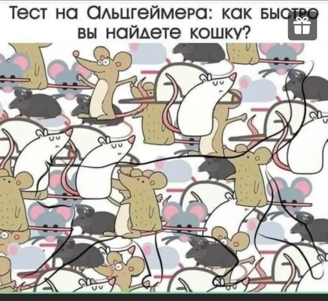 16465273.jpg
