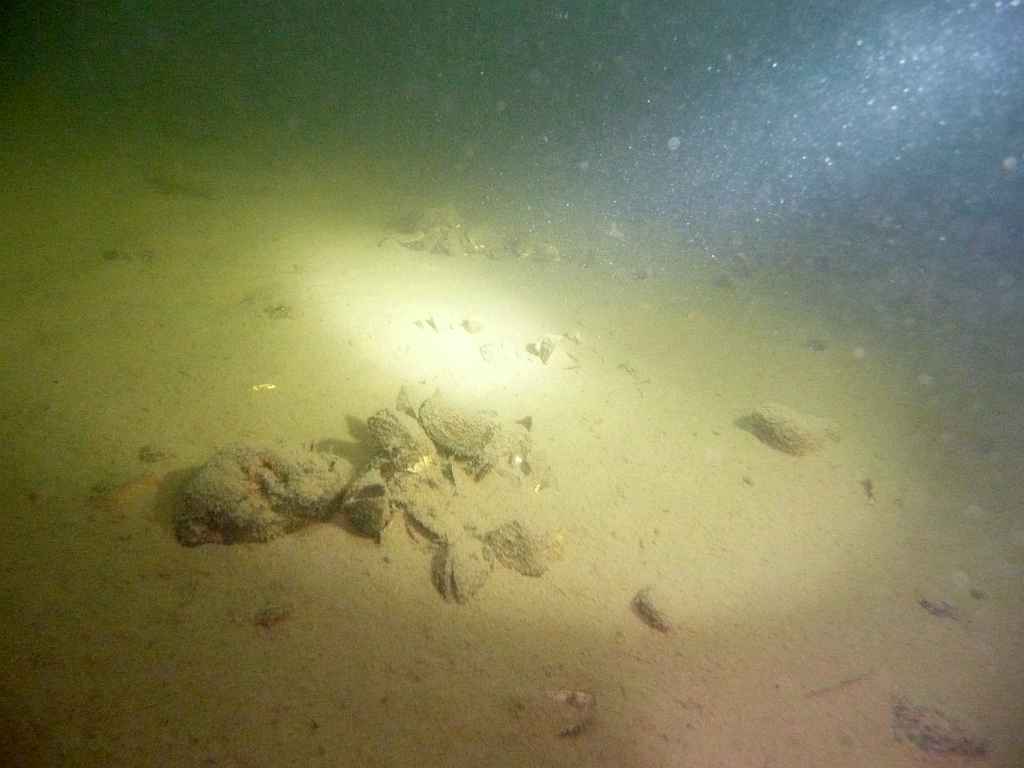 s-1238.JPG