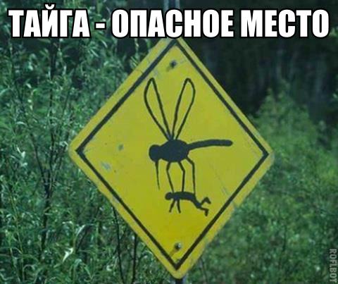 uucc_etquqI.jpg