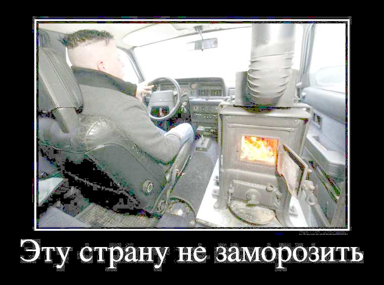 12529647.jpg