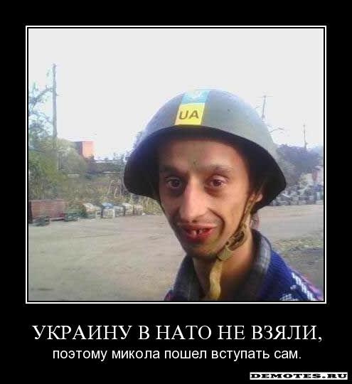 20050_600.jpg