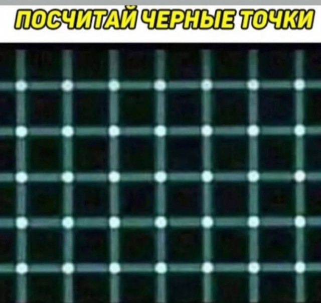 15814150.jpg