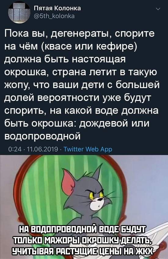 16306005.jpg