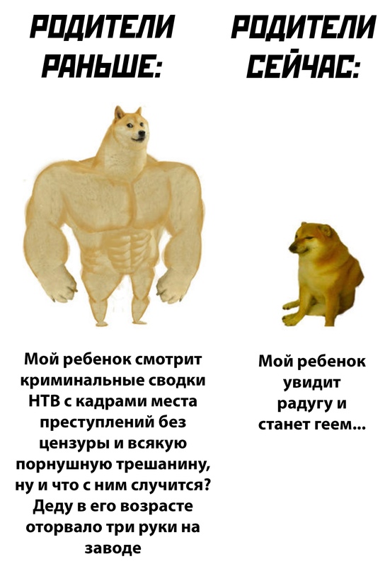 15707655.jpg
