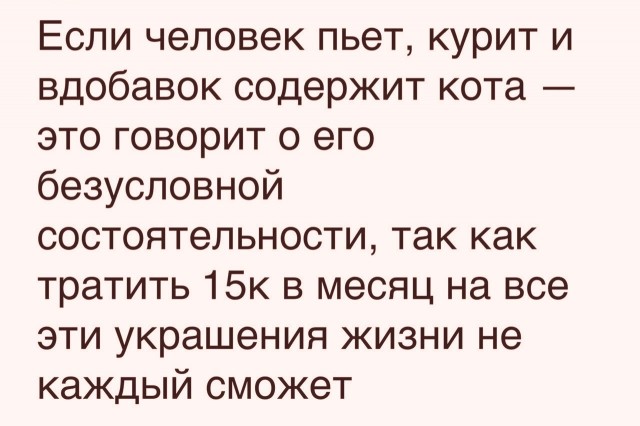 15596877.jpg