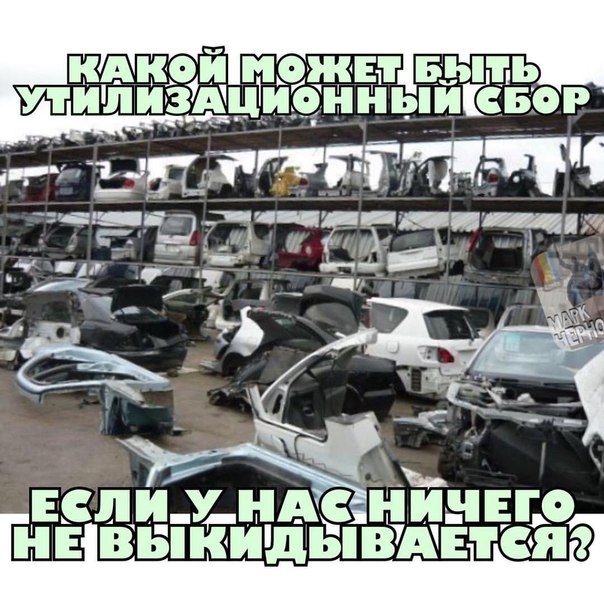 3vdO9OX8OI8.jpg