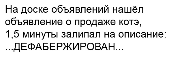 5931013.jpg