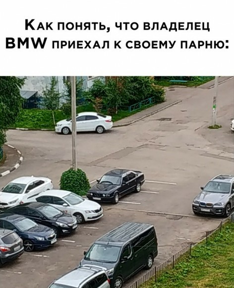 15376340.jpg