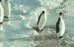 tumblr_nwwborMc0x1tpg4boo1_250.gif