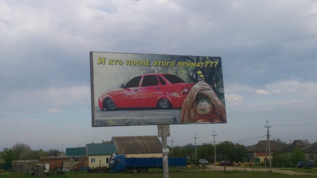 7643632.jpg