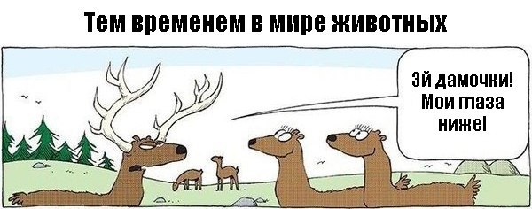NJFwQzI0XpQ.jpg