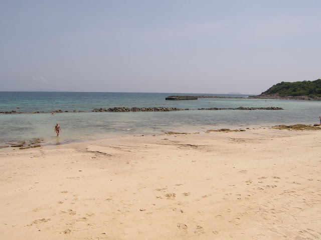 P4210872.JPG