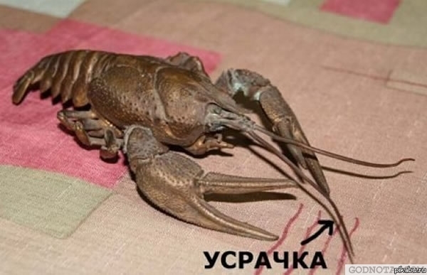 2u5.jpg