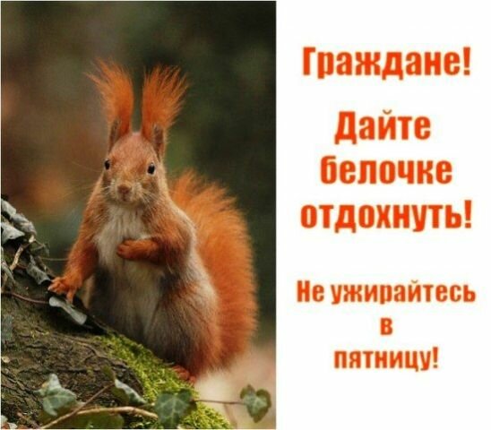0_235f6_bcaf4b8d_XL.jpg