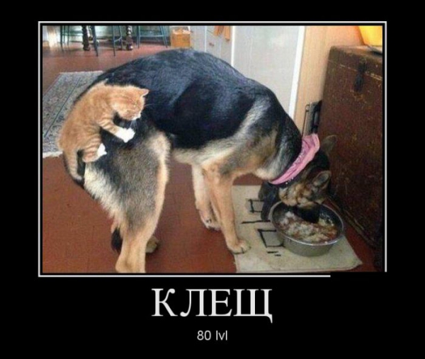b29d78023c7b27272369b6a1b5028c88.jpg