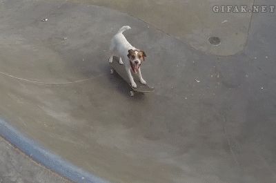 777.gif
