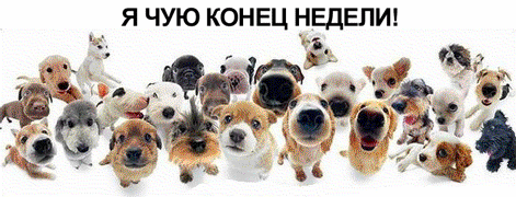 2129953_87.gif