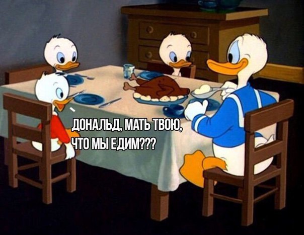 o_QuIn4kybM.jpg