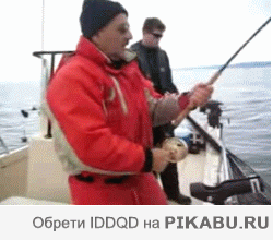 4fc038.gif