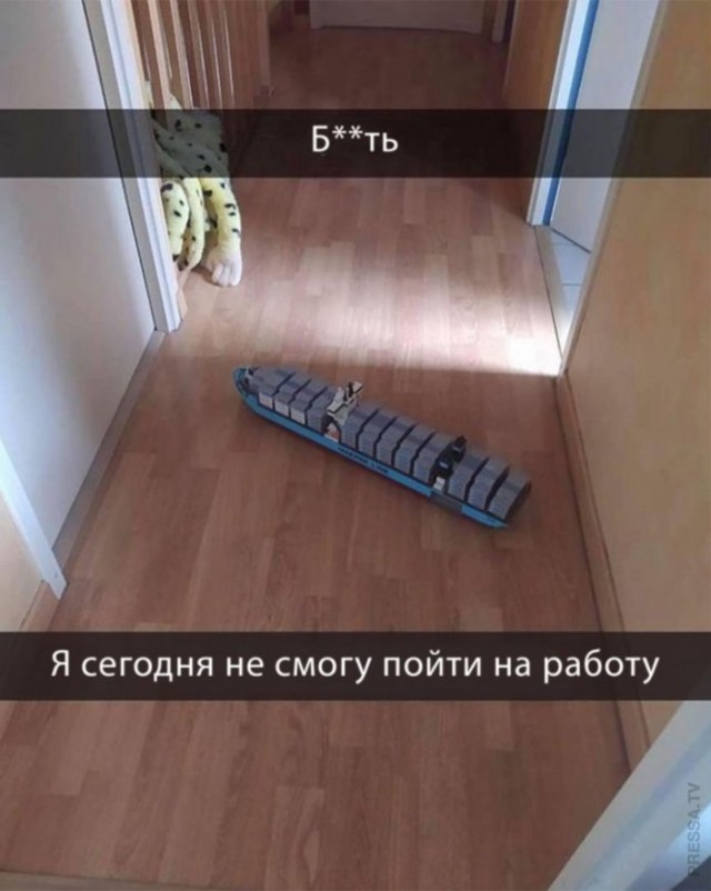 15405100.jpg