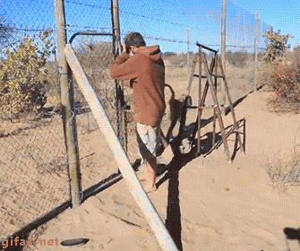 tumblr_napp4wzH4S1s2yegdo1_400.gif
