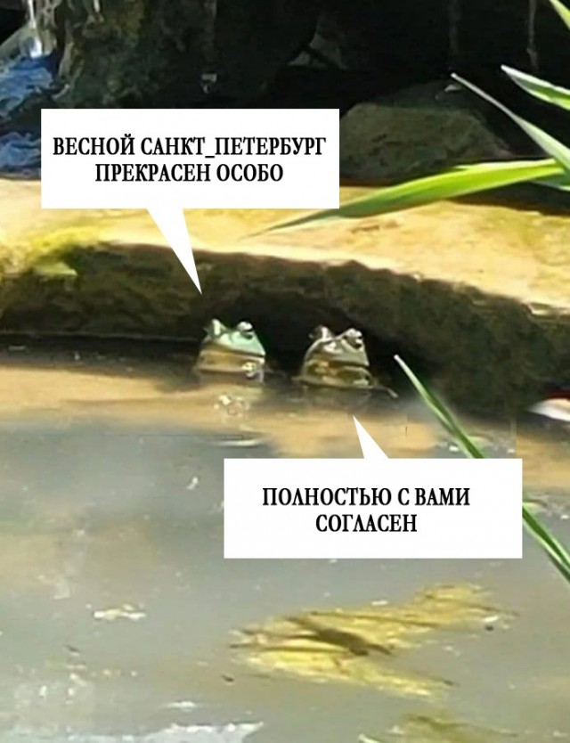 15544068.jpg
