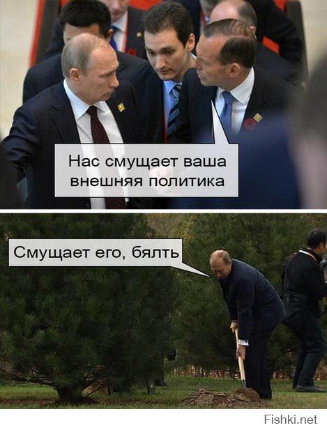 2b8e0a17e6acaf7abd8e94a9230baa0b.jpg