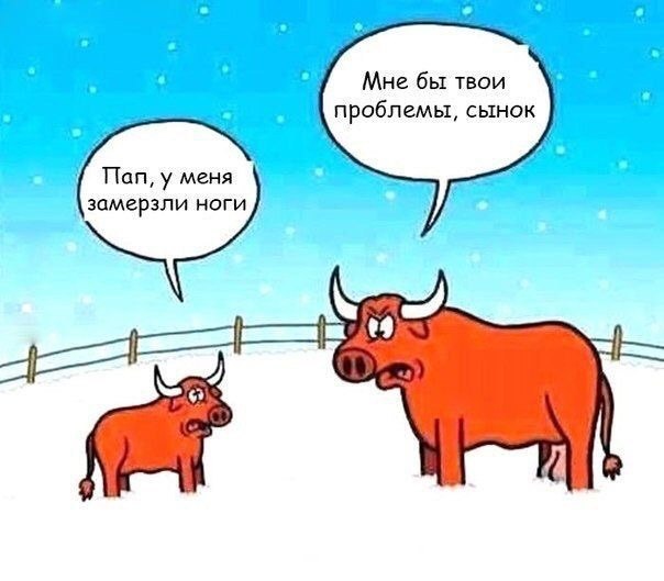 H9YnQvIq4uA.jpg