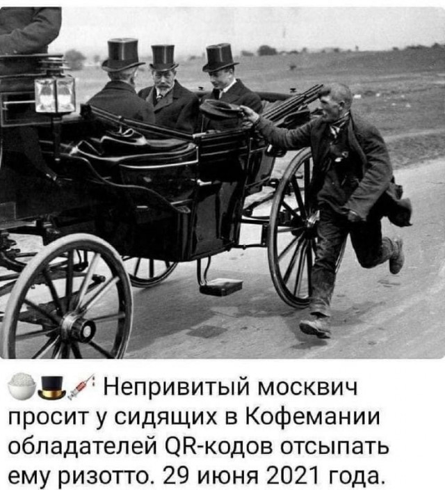 15680514.jpg