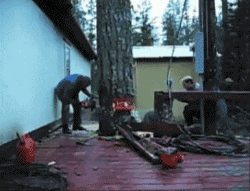 772517_original.gif