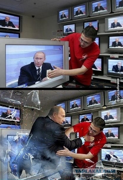2323583.jpg