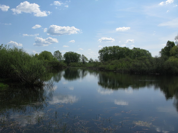 i-209.jpg